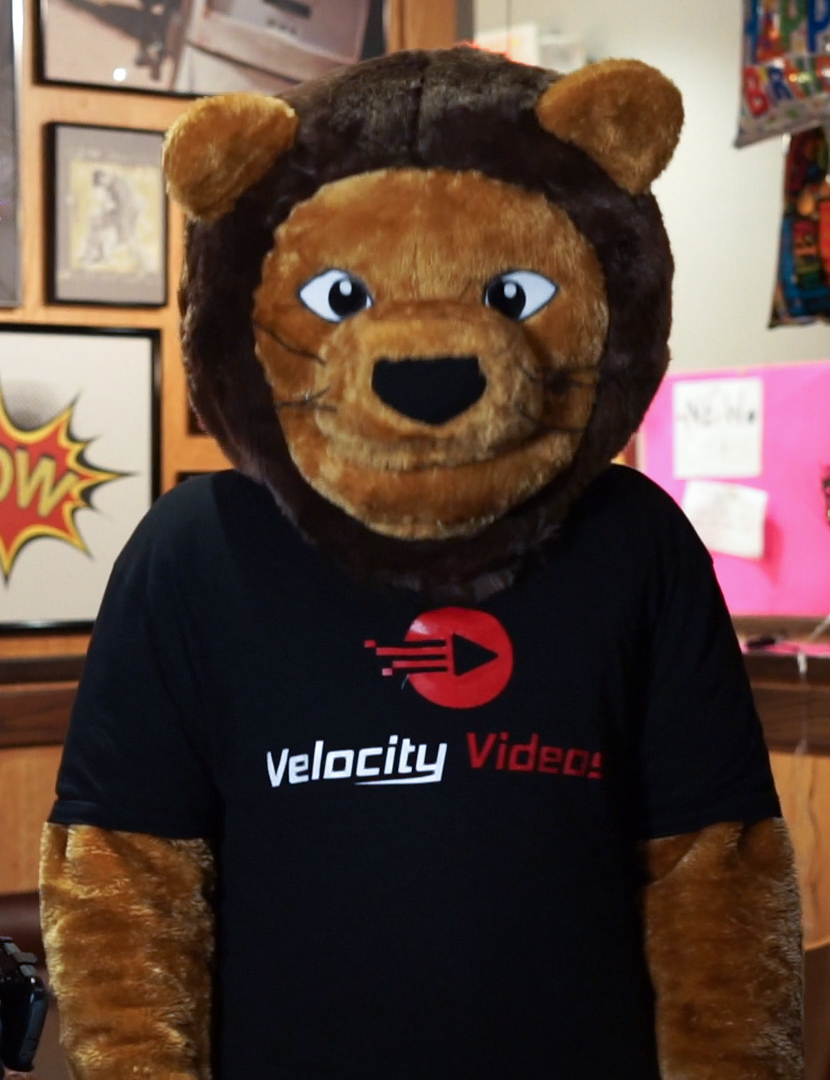 Velocity Videos team - Roaree The Lion